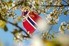 Flagg_3